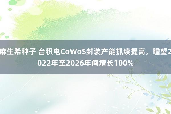 麻生希种子 台积电CoWoS封装产能抓续提高，瞻望2022年至2026年间增长100%