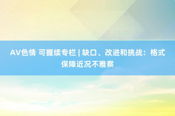 AV色情 可握续专栏 | 缺口、改进和挑战：格式保障近况不雅察