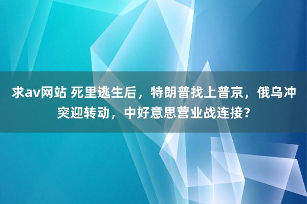 求av网站 死里逃生后，特朗普找上普京，俄乌冲突迎转动，中好意思营业战连接？