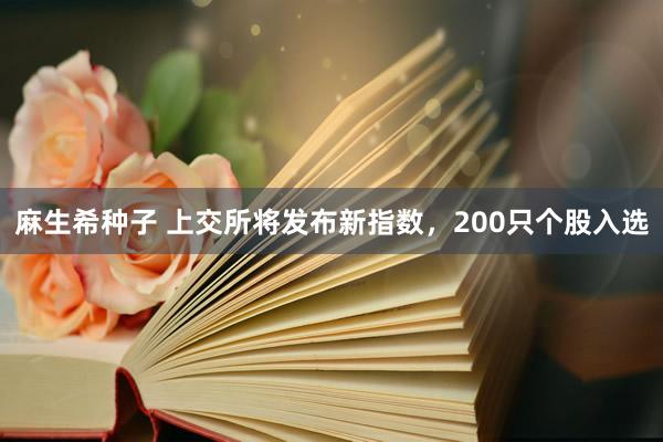 麻生希种子 上交所将发布新指数，200只个股入选