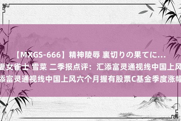 【MXGS-666】精神陵辱 裏切りの果てに… 後編 ～性奴隷契約～ 人妻女雀士 雪菜 二季报点评：汇添富灵通视线中国上风六个月握有股票C基金季度涨幅1.64%