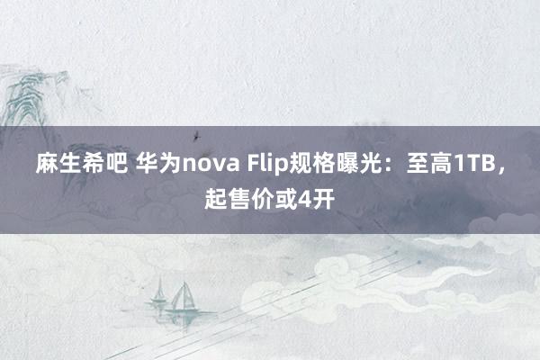 麻生希吧 华为nova Flip规格曝光：至高1TB，起售价或4开