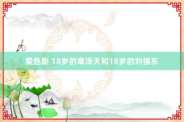 爱色影 18岁的章泽天和18岁的刘强东