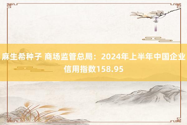 麻生希种子 商场监管总局：2024年上半年中国企业信用指数158.95