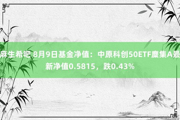 麻生希吧 8月9日基金净值：中原科创50ETF麇集A最新净值0.5815，跌0.43%