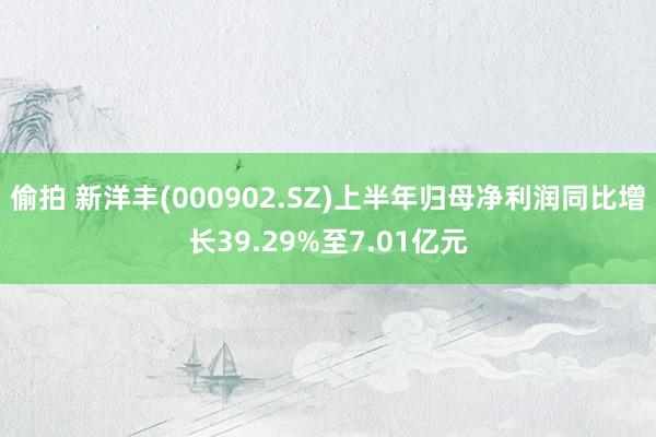 偷拍 新洋丰(000902.SZ)上半年归母净利润同比增长39.29%至7.01亿元