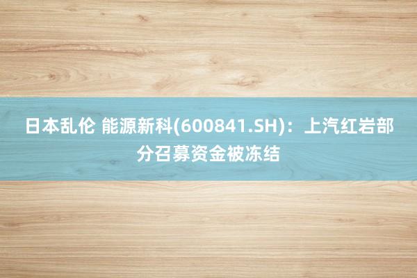 日本乱伦 能源新科(600841.SH)：上汽红岩部分召募资金被冻结