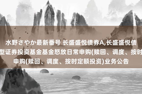 水野さやか最新番号 长盛盛悦债券A，长盛盛悦债券C: 长盛盛悦债券型证券投资基金基金怒放日常申购(赎回、调度、按时定额投资)业务公告