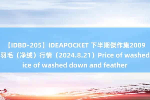 【IDBD-205】IDEAPOCKET 下半期傑作集2009 团体表率丨水洗羽绒羽毛（净绒）行情（2024.8.21）Price of washed down and feather