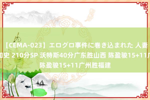 【CEMA-023】エログロ事件に巻き込まれた 人妻たちの昭和史 210分SP 沃特斯40分广东胜山西 陈盈骏15+11广州胜福建