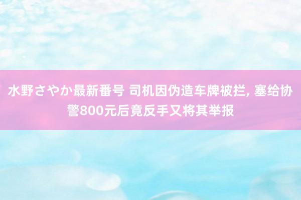 水野さやか最新番号 司机因伪造车牌被拦， 塞给协警800元后竟反手又将其举报