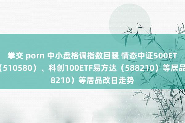 拳交 porn 中小盘格调指数回暖 情态中证500ETF易方达（510580）、科创100ETF易方达（588210）等居品改日走势