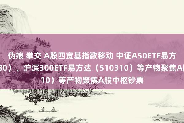 伪娘 拳交 A股四宽基指数移动 中证A50ETF易方达（563080）、沪深300ETF易方达（510310）等产物聚焦A股中枢钞票