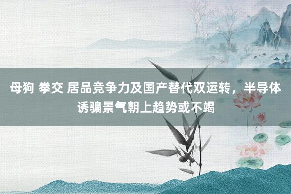 母狗 拳交 居品竞争力及国产替代双运转，半导体诱骗景气朝上趋势或不竭