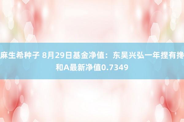 麻生希种子 8月29日基金净值：东吴兴弘一年捏有搀和A最新净值0.7349