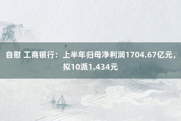 自慰 工商银行：上半年归母净利润1704.67亿元，拟10派1.434元