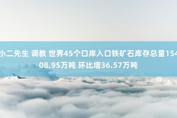 小二先生 调教 世界45个口岸入口铁矿石库存总量15408.95万吨 环比增36.57万吨