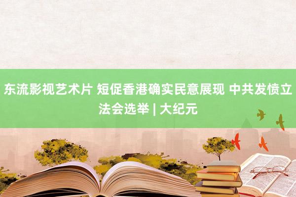 东流影视艺术片 短促香港确实民意展现 中共发愤立法会选举 | 大纪元