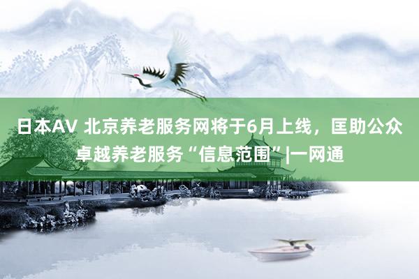 日本AV 北京养老服务网将于6月上线，匡助公众卓越养老服务“信息范围”|一网通