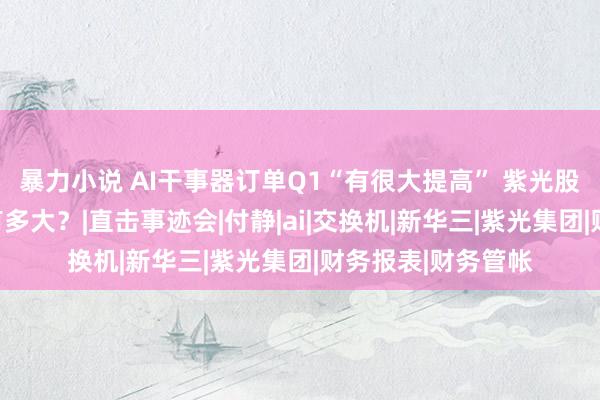 暴力小说 AI干事器订单Q1“有很大提高” 紫光股份事迹增漫空间有多大？|直击事迹会|付静|ai|交换机|新华三|紫光集团|财务报表|财务管帐