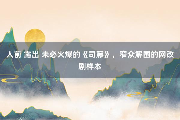 人前 露出 未必火爆的《司藤》，窄众解围的网改剧样本