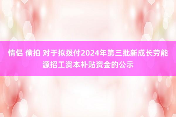 情侣 偷拍 对于拟拨付2024年第三批新成长劳能源招工资本补贴资金的公示