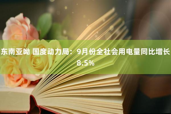 东南亚呦 国度动力局：9月份全社会用电量同比增长8.5%