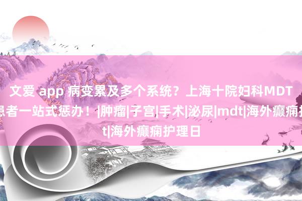 文爱 app 病变累及多个系统？上海十院妇科MDT助力患者一站式惩办！|肿瘤|子宫|手术|泌尿|mdt|海外癫痫护理日